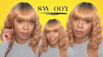 The Wig Synthetic Hair Wig - SW 004 --/WIGTYPES.COM