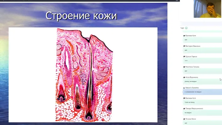 Набор   Кожа волосы ногти