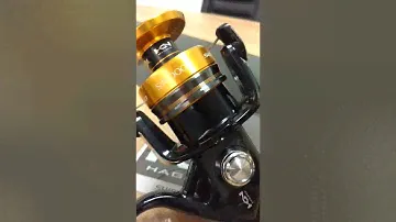 Molinetes SHIMANO SOCORRO