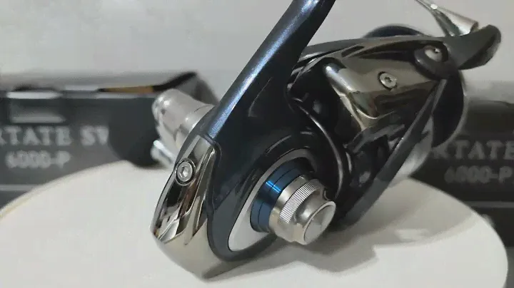 2022 Daiwa Certate SW 6000-P Power Gear